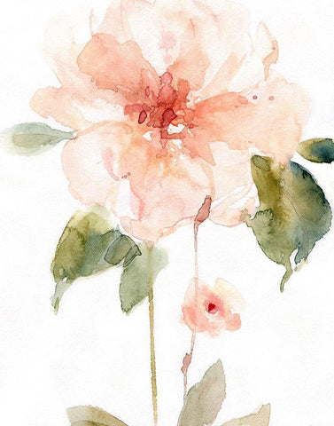 Single Perfect Bloom II White Modern Wood Framed Art Print with Double Matting by Robinson, Carol