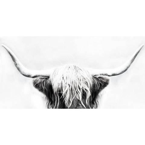 Longhorn Black Modern Wood Framed Art Print with Double Matting by Edmonds, Cora