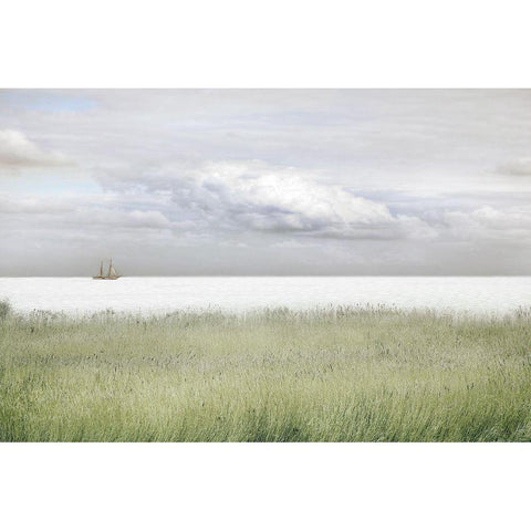 Wind in Favor Gold Ornate Wood Framed Art Print with Double Matting by Van de Goor, Lars
