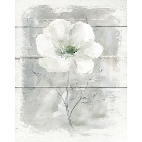 Farmhouse Rose I Black Modern Wood Framed Art Print with Double Matting by Robinson, Carol