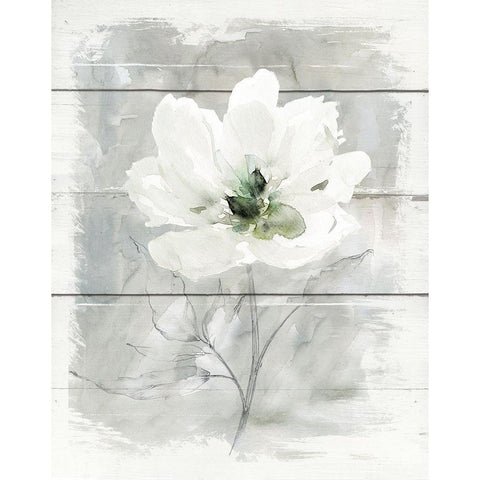 Farmhouse Rose II White Modern Wood Framed Art Print by Robinson, Carol