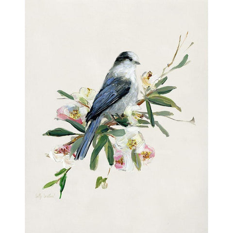 Spring Song Gray Jay White Modern Wood Framed Art Print by Swatland, Sally