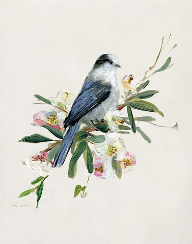 Spring Song Gray Jay White Modern Wood Framed Art Print with Double Matting by Swatland, Sally