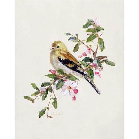 Spring Song Pine Grosbeak Gold Ornate Wood Framed Art Print with Double Matting by Swatland, Sally
