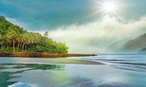 Jungle Meets the Sea White Modern Wood Framed Art Print with Double Matting by Calascibetta, Mike