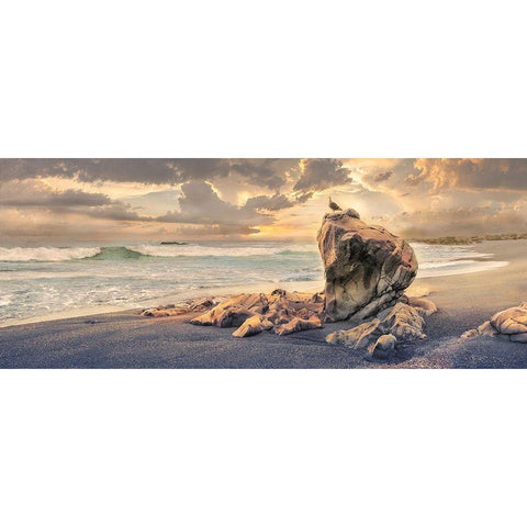 Grand Perch Gold Ornate Wood Framed Art Print with Double Matting by Calascibetta, Mike