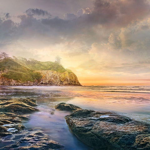 Rocky Shore Gold Ornate Wood Framed Art Print with Double Matting by Calascibetta, Mike