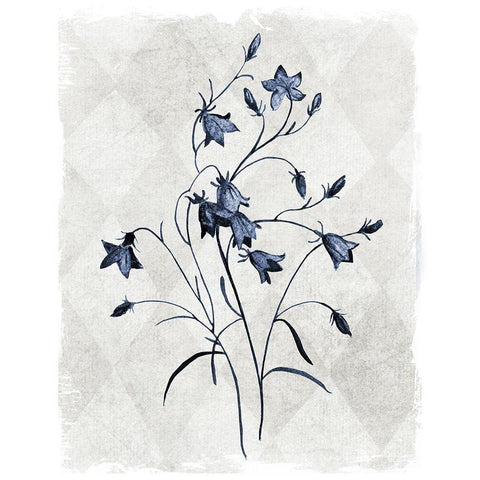 Harlequin Botanical II Black Modern Wood Framed Art Print with Double Matting by Robinson, Carol