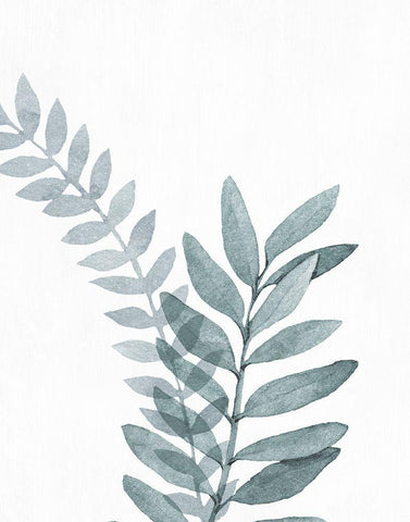 Blue Botanical Wash II White Modern Wood Framed Art Print with Double Matting by Knutsen, Conrad