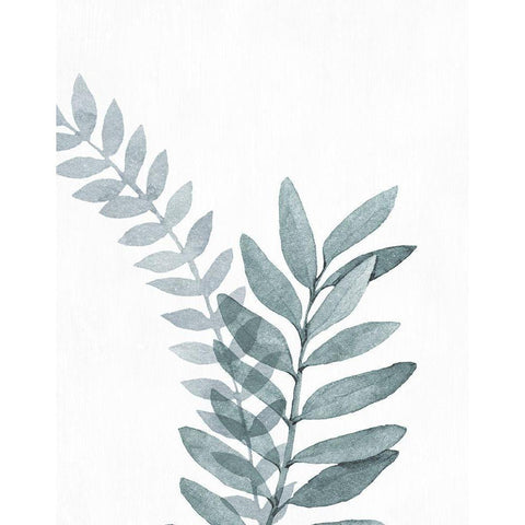 Blue Botanical Wash II White Modern Wood Framed Art Print by Knutsen, Conrad