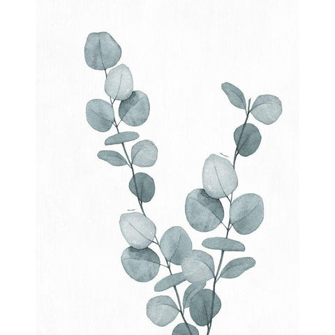 Blue Botanical Wash III Gold Ornate Wood Framed Art Print with Double Matting by Knutsen, Conrad