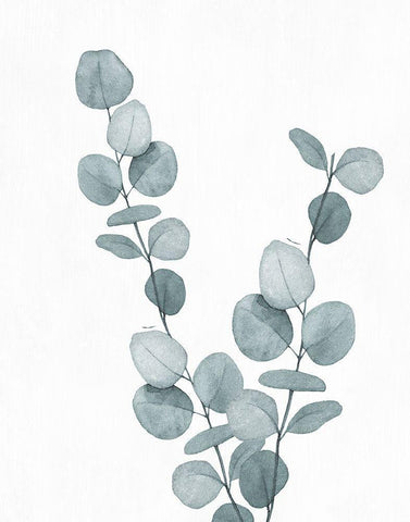 Blue Botanical Wash III Black Ornate Wood Framed Art Print with Double Matting by Knutsen, Conrad