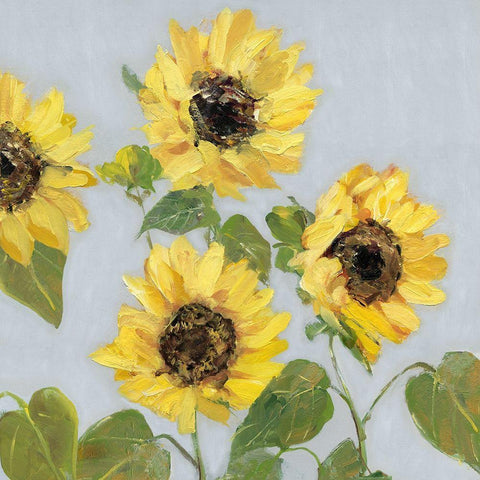 Sunflower Array I White Modern Wood Framed Art Print by Swatland, Sally
