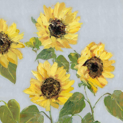 Sunflower Array I Black Modern Wood Framed Art Print by Swatland, Sally