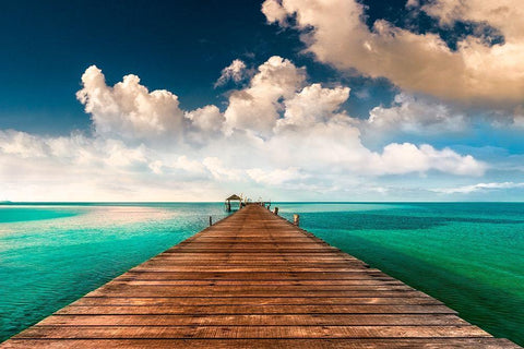 Tropic Blues White Modern Wood Framed Art Print with Double Matting by Calascibetta, Mike