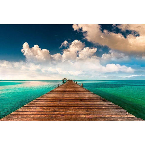 Tropic Blues Black Modern Wood Framed Art Print with Double Matting by Calascibetta, Mike