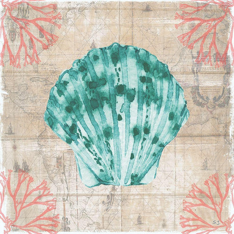 Coral Cove I White Modern Wood Framed Art Print with Double Matting by Jill, Susan