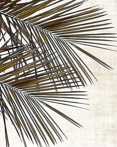 Palm I White Modern Wood Framed Art Print with Double Matting by Carpentieri, Natalie