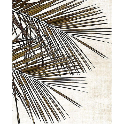 Palm I Black Modern Wood Framed Art Print by Carpentieri, Natalie