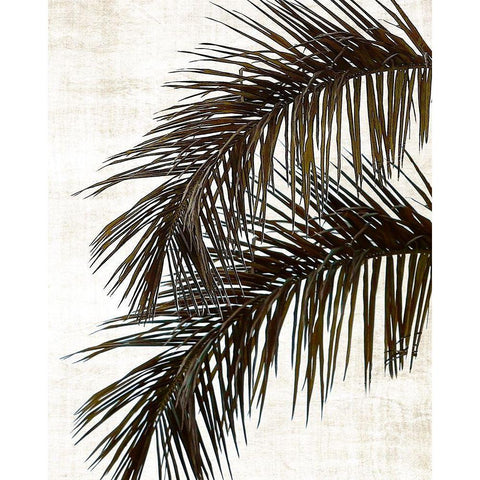 Palm II Black Modern Wood Framed Art Print with Double Matting by Carpentieri, Natalie
