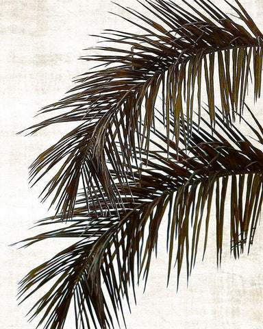 Palm II White Modern Wood Framed Art Print with Double Matting by Carpentieri, Natalie