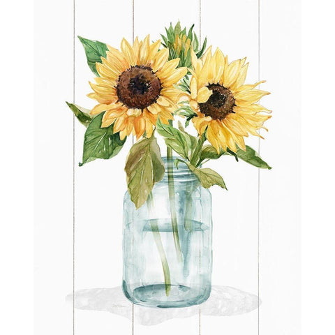 Sunny Day II Black Modern Wood Framed Art Print with Double Matting by Robinson, Carol