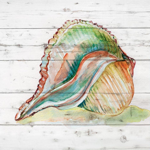 Tye Dyed Shell II White Modern Wood Framed Art Print with Double Matting by Robinson, Carol