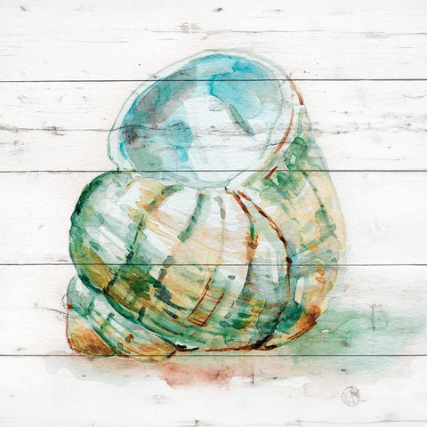 Tye Dyed Shell IV Black Modern Wood Framed Art Print by Robinson, Carol