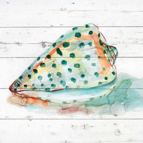 Tye Dyed Shell V Black Modern Wood Framed Art Print with Double Matting by Robinson, Carol