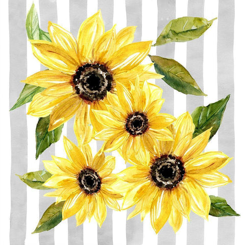 Sunflower Array II White Modern Wood Framed Art Print with Double Matting by Robinson, Carol