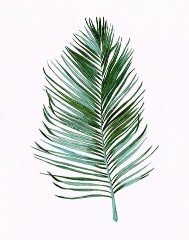 Sage Frond I White Modern Wood Framed Art Print with Double Matting by Tava Studios