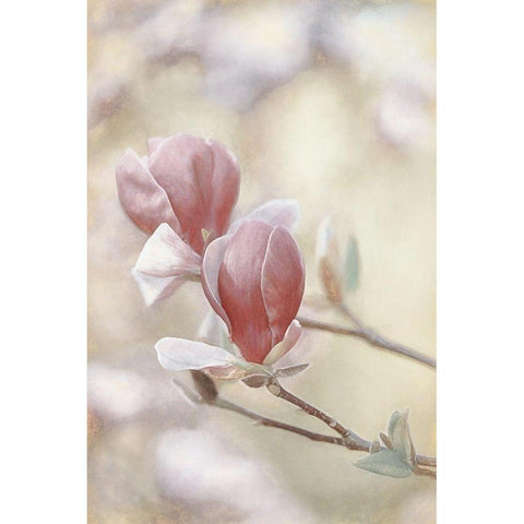 Blooming Hearts Black Modern Wood Framed Art Print with Double Matting by Van de Goor, Lars