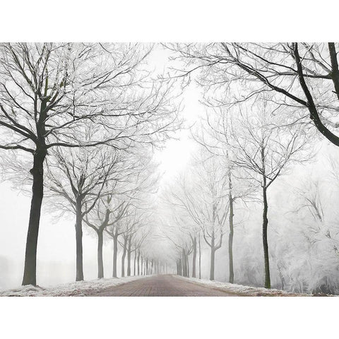 The Last Winter White Modern Wood Framed Art Print by Van de Goor, Lars