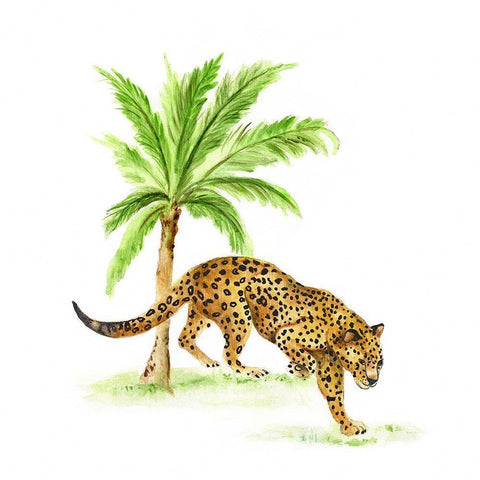 Jungle Cat I White Modern Wood Framed Art Print with Double Matting by Tava Studios