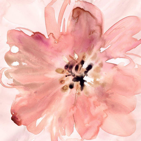 A Little Blush Black Modern Wood Framed Art Print by Robinson, Carol