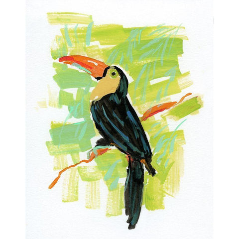 Exotic Toucan Black Modern Wood Framed Art Print with Double Matting by Swatland, Sally