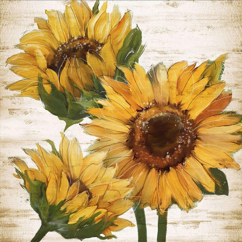Sunflower Summer I Black Ornate Wood Framed Art Print with Double Matting by Knutsen, Conrad