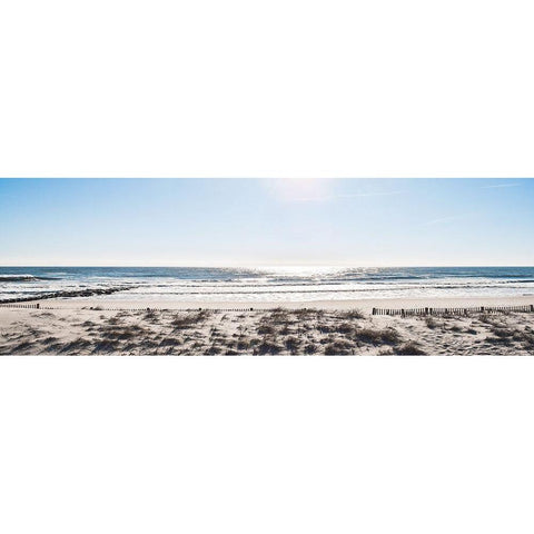 Sunday Surf Black Modern Wood Framed Art Print with Double Matting by Carpentieri, Natalie