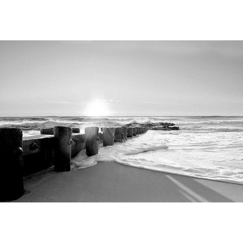 Shifting Shore Black Modern Wood Framed Art Print by Carpentieri, Natalie