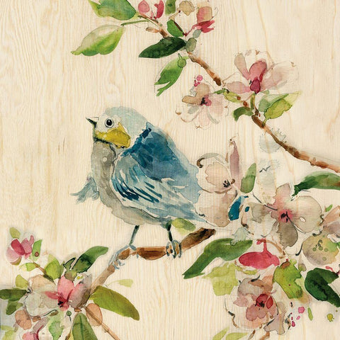 Spring Birds II White Modern Wood Framed Art Print with Double Matting by Robinson, Carol