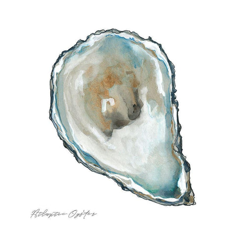 Atlantic Oyster White Modern Wood Framed Art Print by Robinson, Carol
