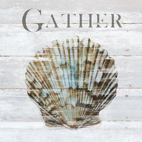 Shell Gather White Modern Wood Framed Art Print by Robinson, Carol