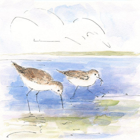 Sketchy Shore Birds I White Modern Wood Framed Art Print by Swatland, Sally