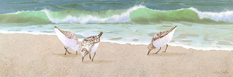 Beach Buddies White Modern Wood Framed Art Print with Double Matting by Seslar, Lin