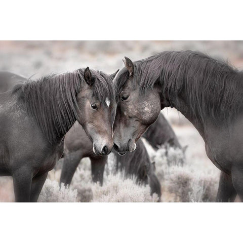 Wild Horses Gold Ornate Wood Framed Art Print with Double Matting by Ditto, Larry