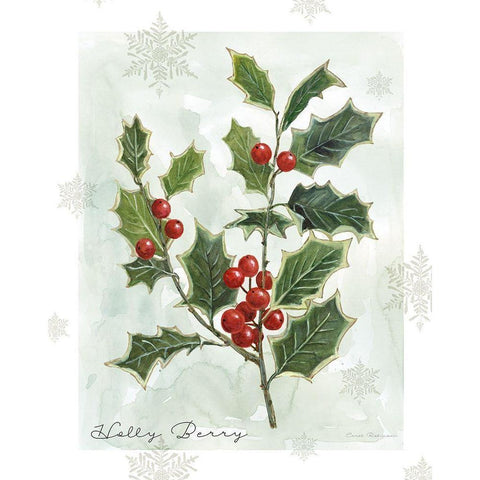 Botanical Holly Berry Black Modern Wood Framed Art Print by Robinson, Carol