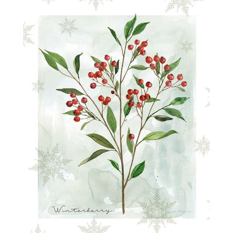 Botanical Winterberry Gold Ornate Wood Framed Art Print with Double Matting by Robinson, Carol