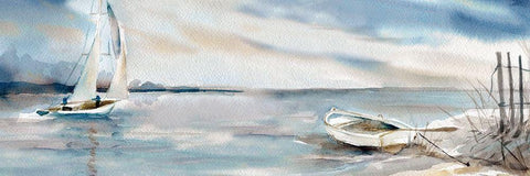 Panoramic Coast Black Ornate Wood Framed Art Print with Double Matting by Robinson, Carol