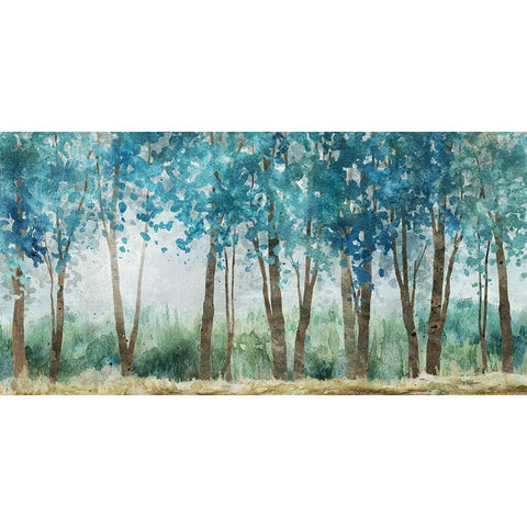 Sunwashed Grove Black Modern Wood Framed Art Print with Double Matting by Robinson, Carol