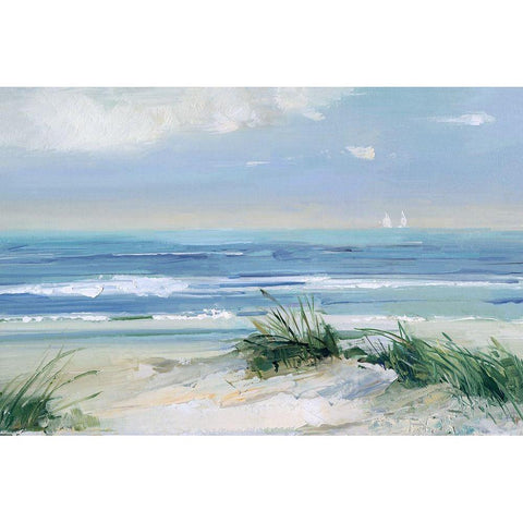 Coastal Breezes Black Modern Wood Framed Art Print with Double Matting by Swatland, Sally